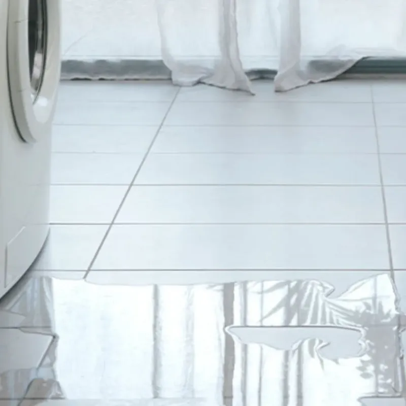 Appliance Leak Cleanup in Madison County, TX