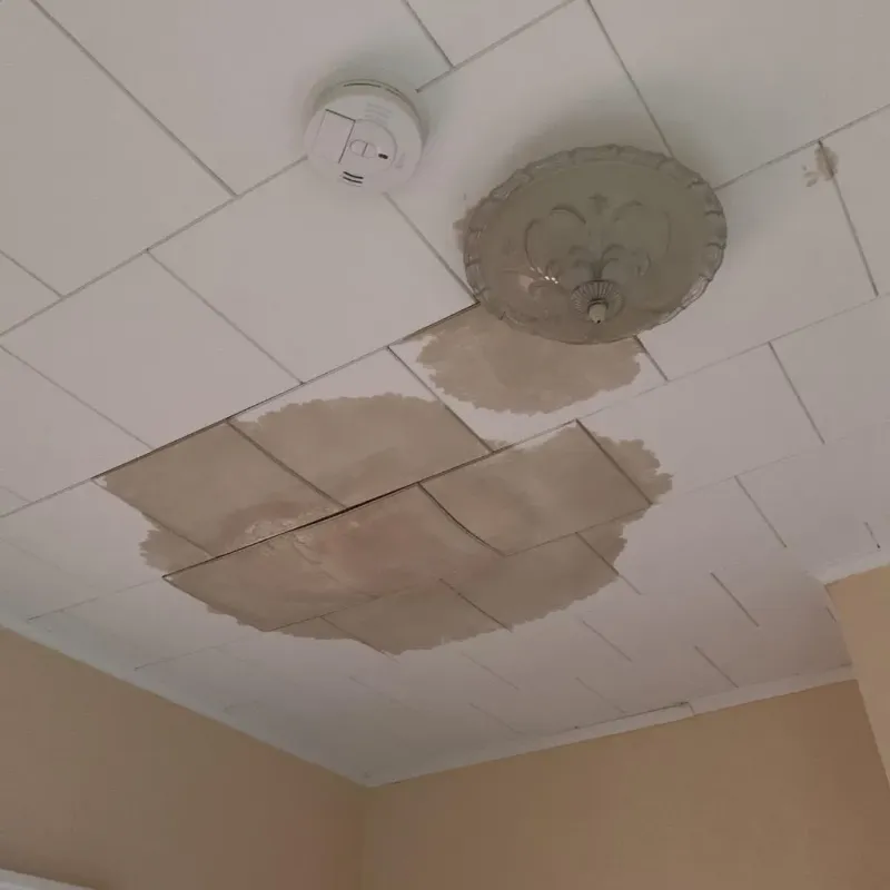 Ceiling Water Damage Repair in Madison County, TX