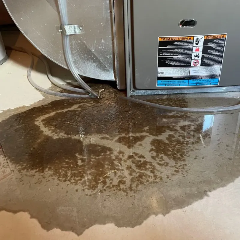 Pipe Burst and Leak Restoration in Madison County, TX