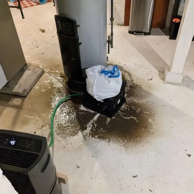 Sewage Backup Cleanup Service in Madison County, TX